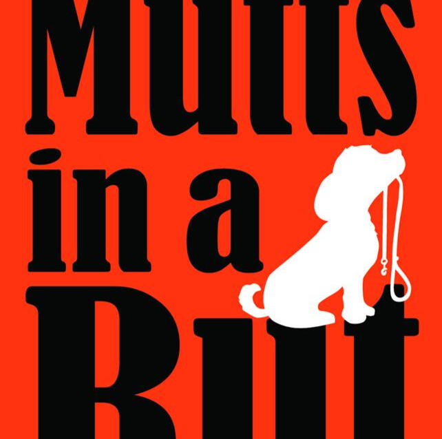 Save some cute animals!